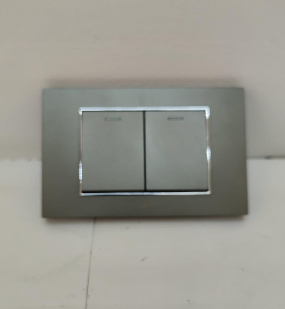 AGTTJS102G Toma Interruptor Doble ADORA