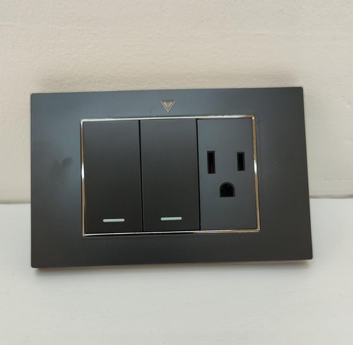 [ANTTMJS1DB] ANTTMJS1DB Toma Interruptor - Corriente Doble ADORA